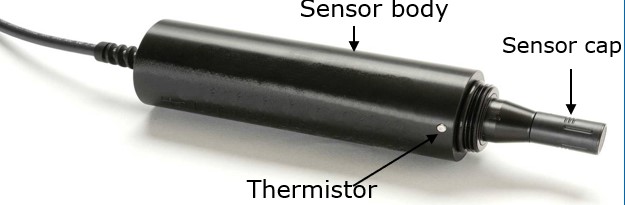 PI OxySense Sensor mit Kappe